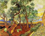 文森特 威廉 梵高 : 精神病医院一角、共园和树桩